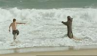 Click to watch 'Walking the Dog' (popup) Wilfred